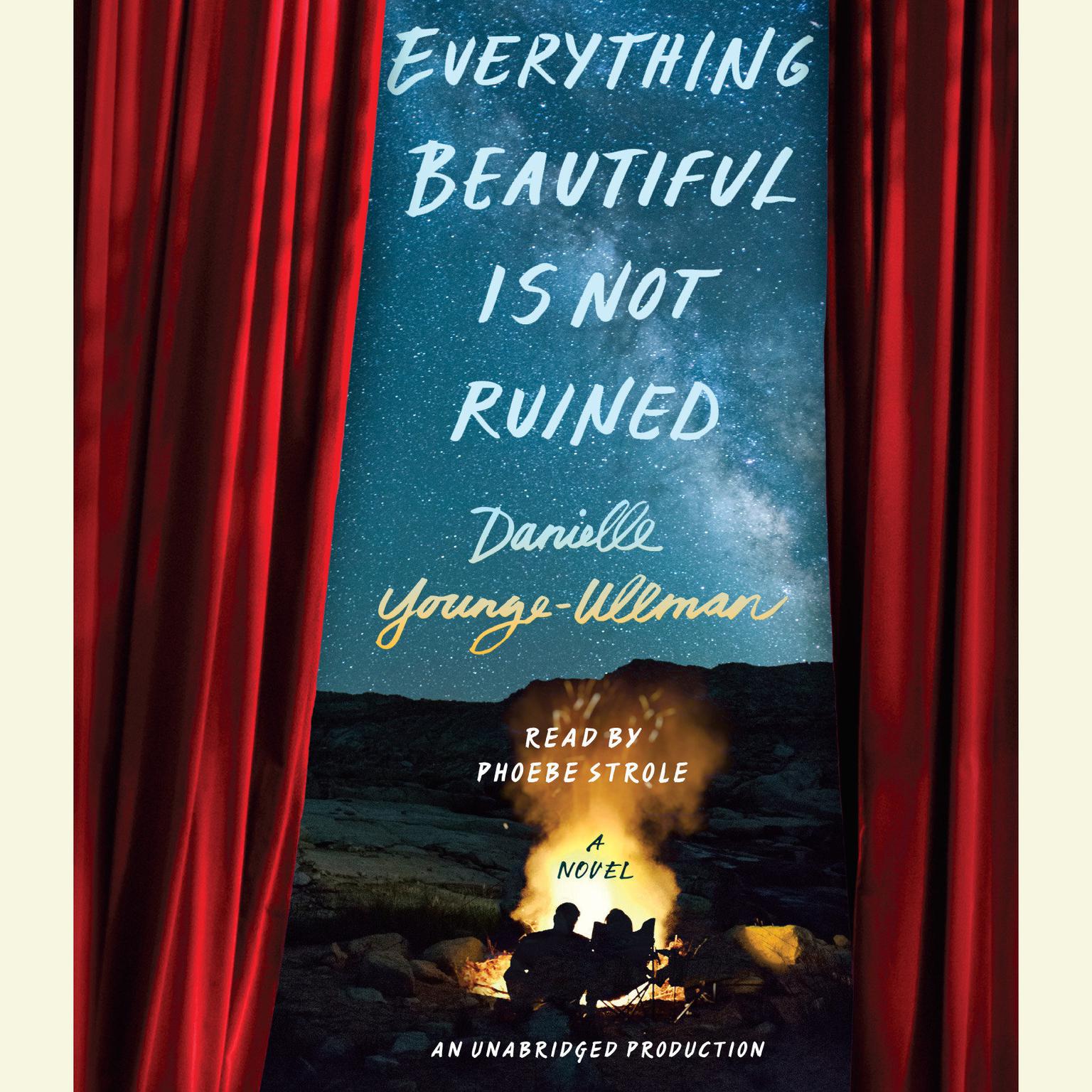 Everything Beautiful Is Not Ruined Audiobook, by Danielle Younge-Ullman