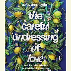 The Careful Undressing of Love Audiobook, by Corey Ann Haydu