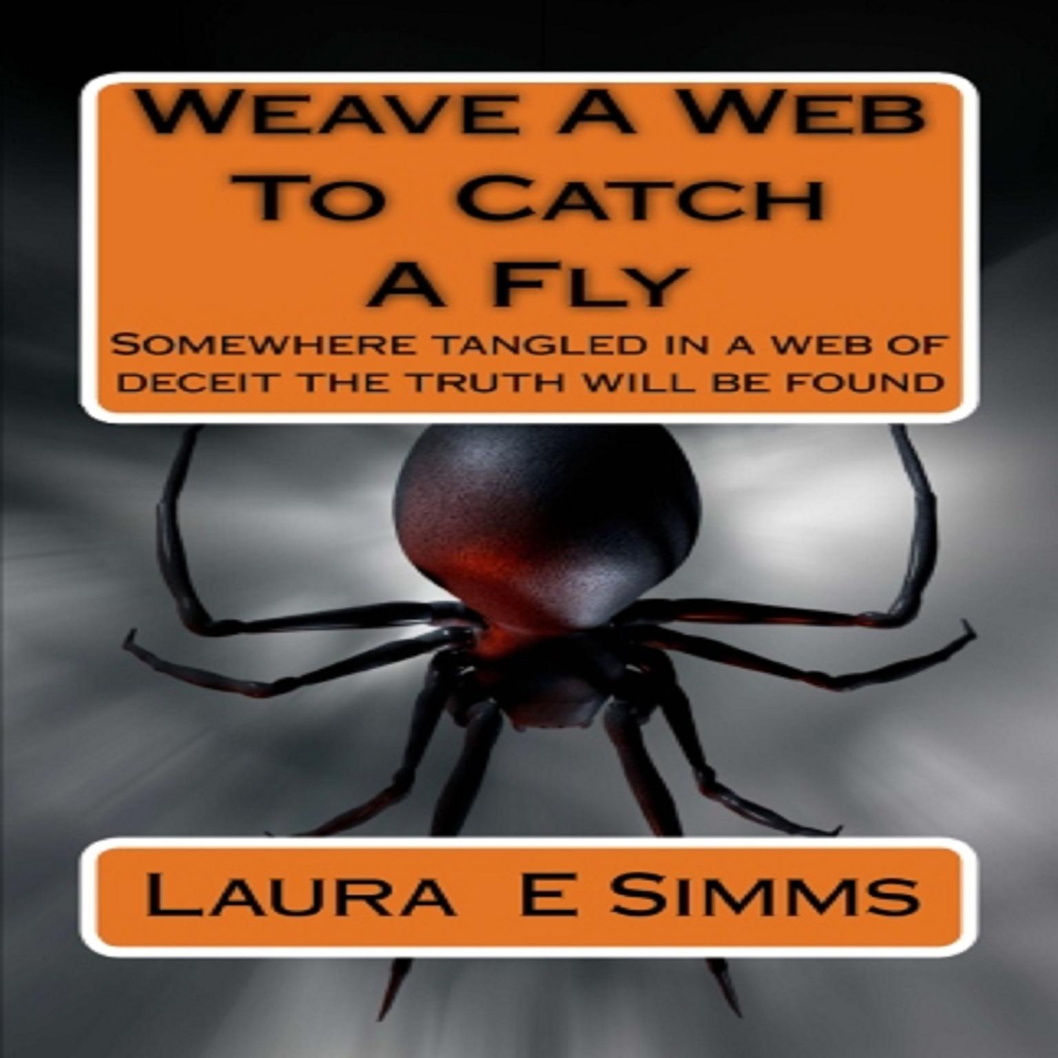 Weave A Web to Catch A Fly (Abridged) Audiobook, by Laura Simms