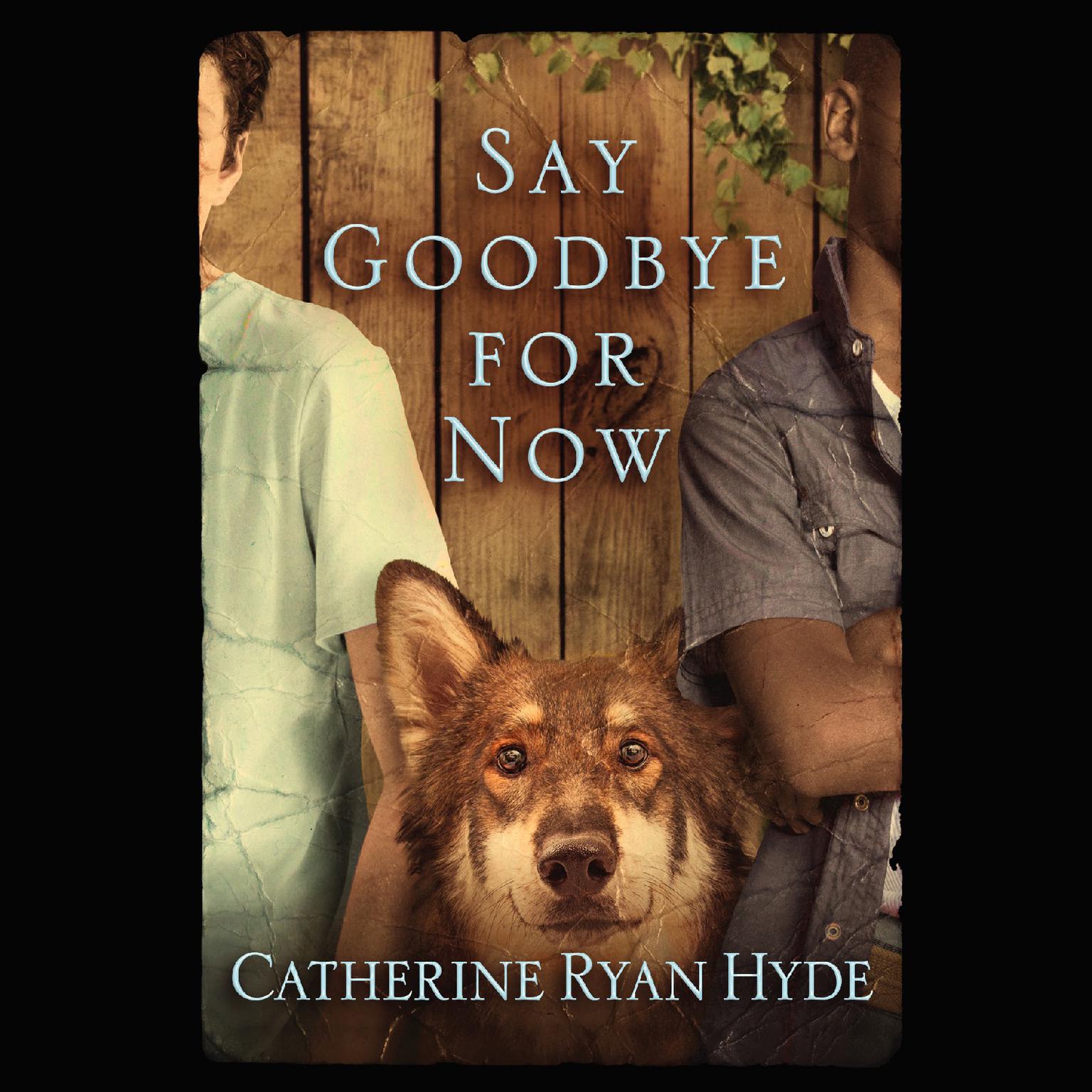Say Goodbye for Now Audiobook, by Catherine Ryan Hyde