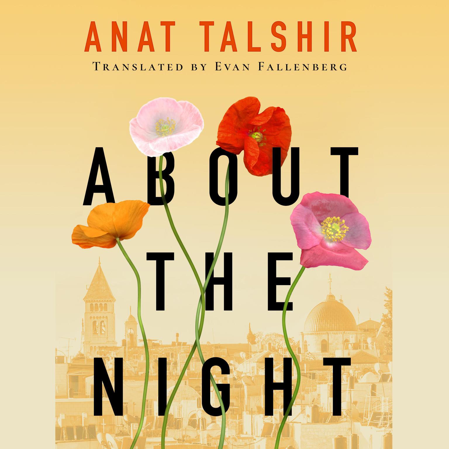 About the Night Audiobook, by Anat Talshir