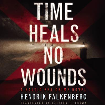 Time Heals No Wounds Audiobook, by Hendrik Falkenberg