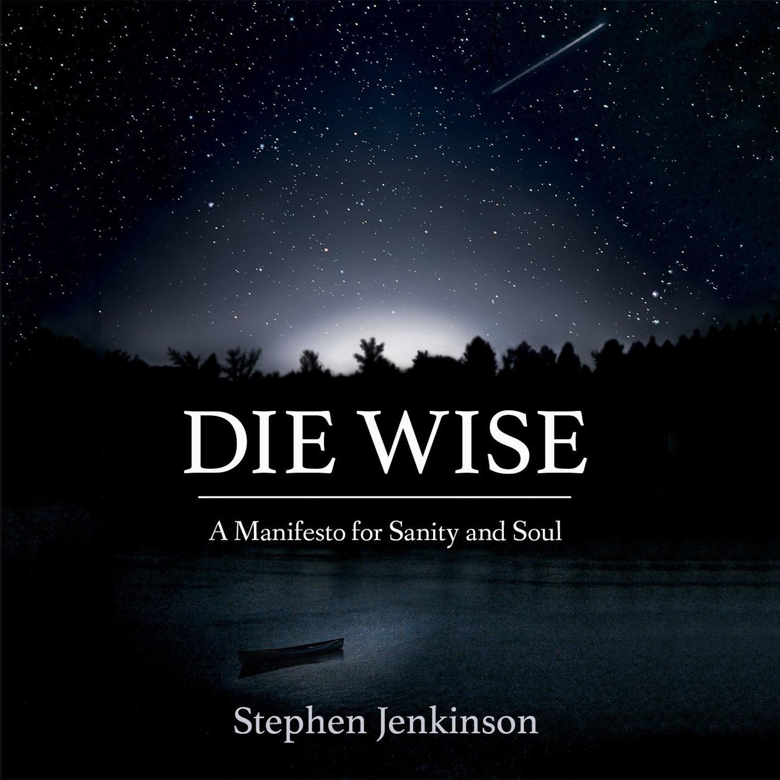 Die Wise: A Manifesto for Sanity and Soul Audiobook, by Stephen Jenkinson