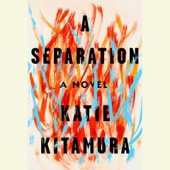 A Separation: A Novel Audiobook, by 