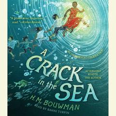 A Crack in the Sea Audiobook, by H. M. Bouwman