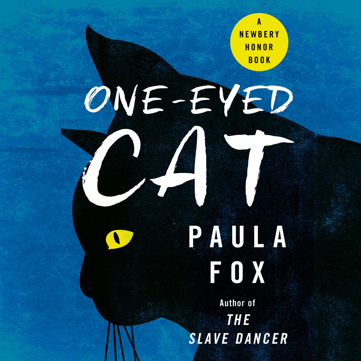 One-Eyed Cat Audiobook, by Paula Fox