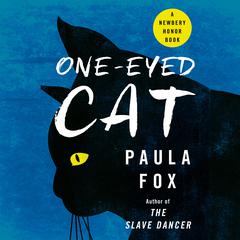 One-Eyed Cat Audiobook, by Paula Fox