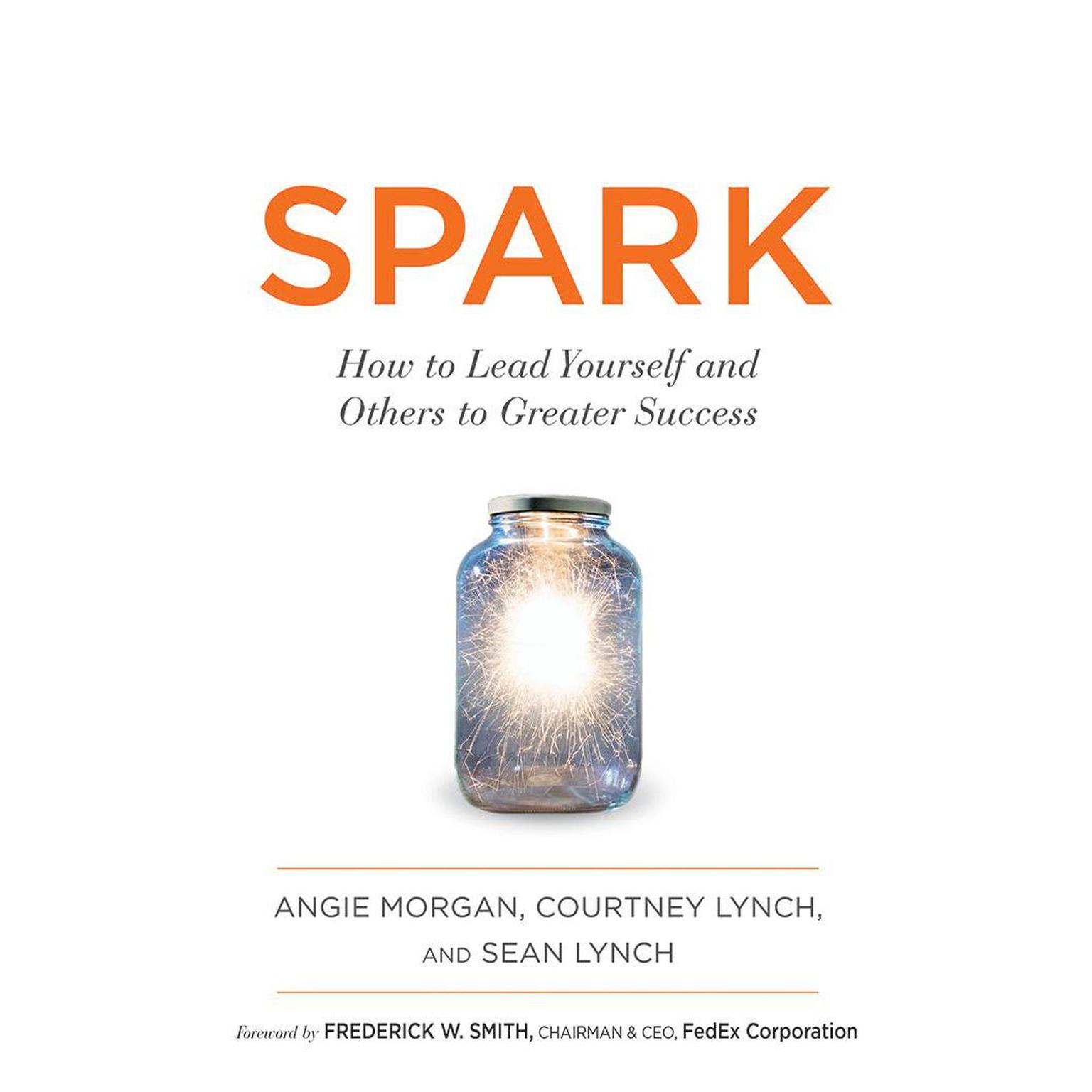 Spark: How to Lead Yourself and Others to Greater Success Audiobook, by Sean Lynch