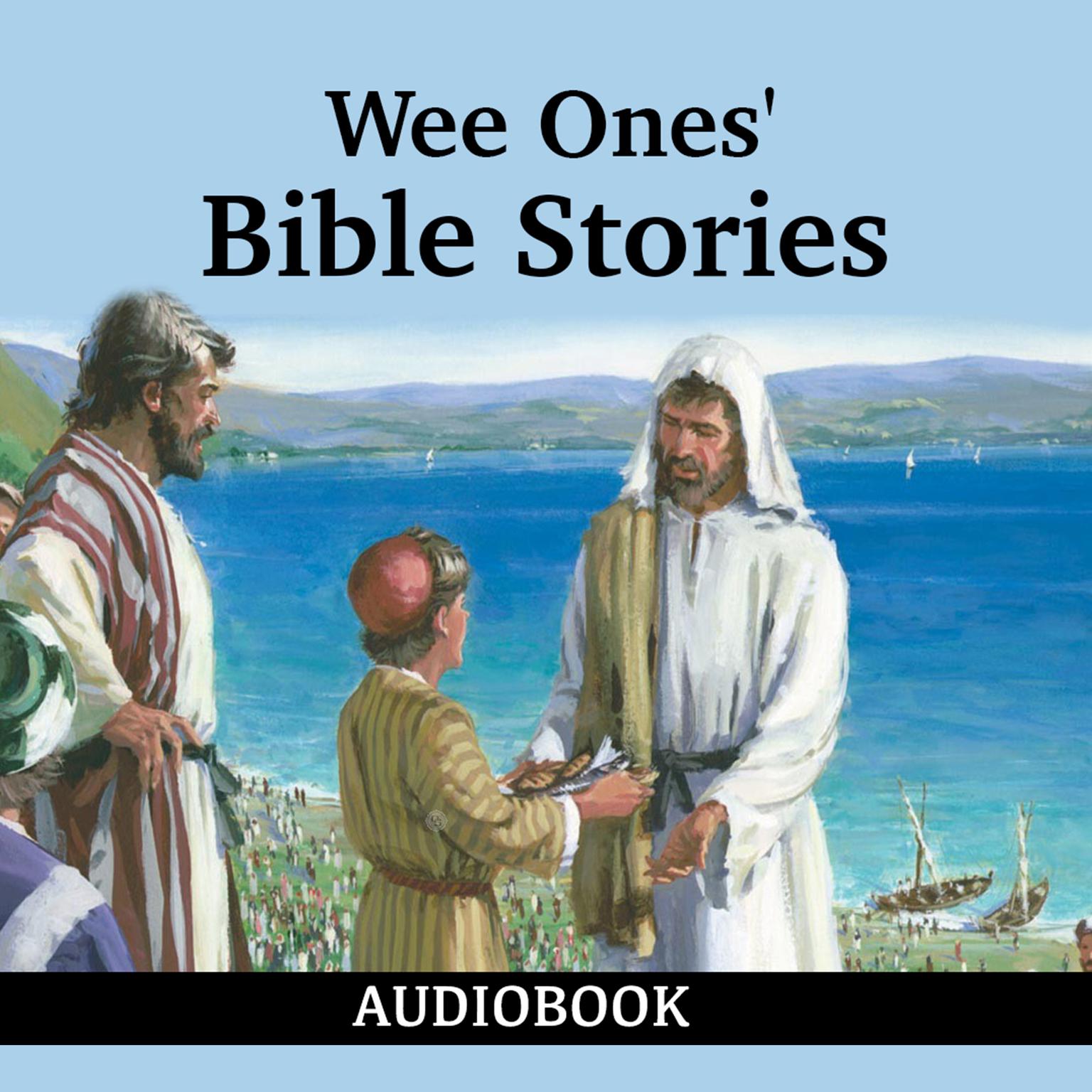 Wee Ones Bible Stories Audiobook, by Anonymous