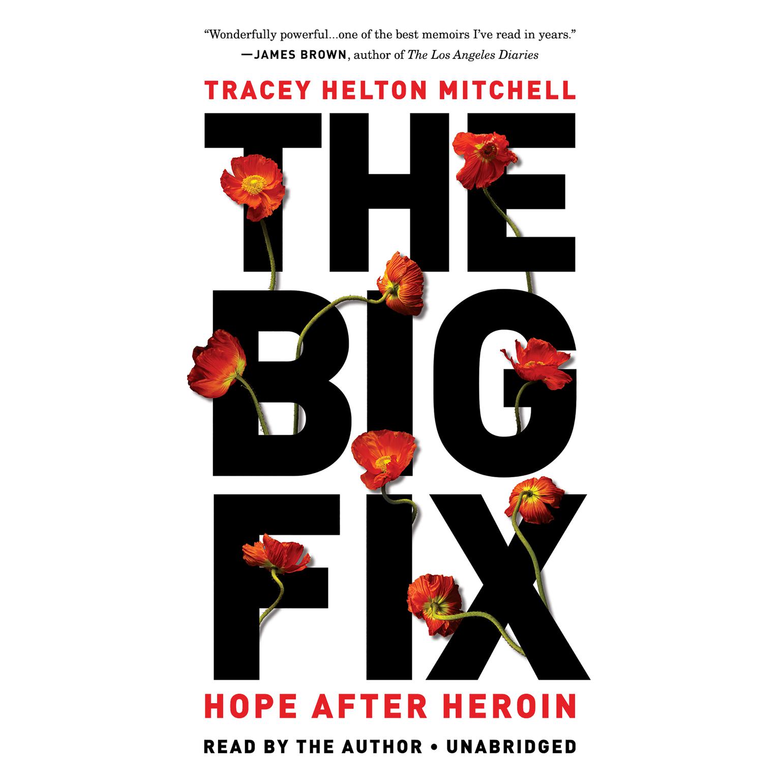 The Big Fix: Hope After Heroin Audiobook, by Tracey Helton Mitchell