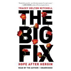The Big Fix: Hope After Heroin Audiobook, by 