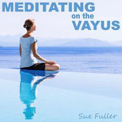 Meditating on the Vayus Audiobook, by Sue Fuller