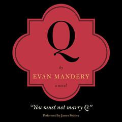 Q: A Novel: A Novel Audiobook, by Evan Mandery