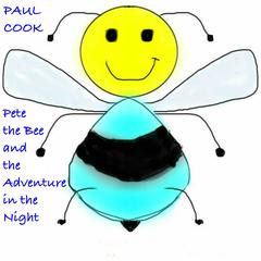 Pete the Bee and the Adventure in the Night Audiobook, by Paul Cook