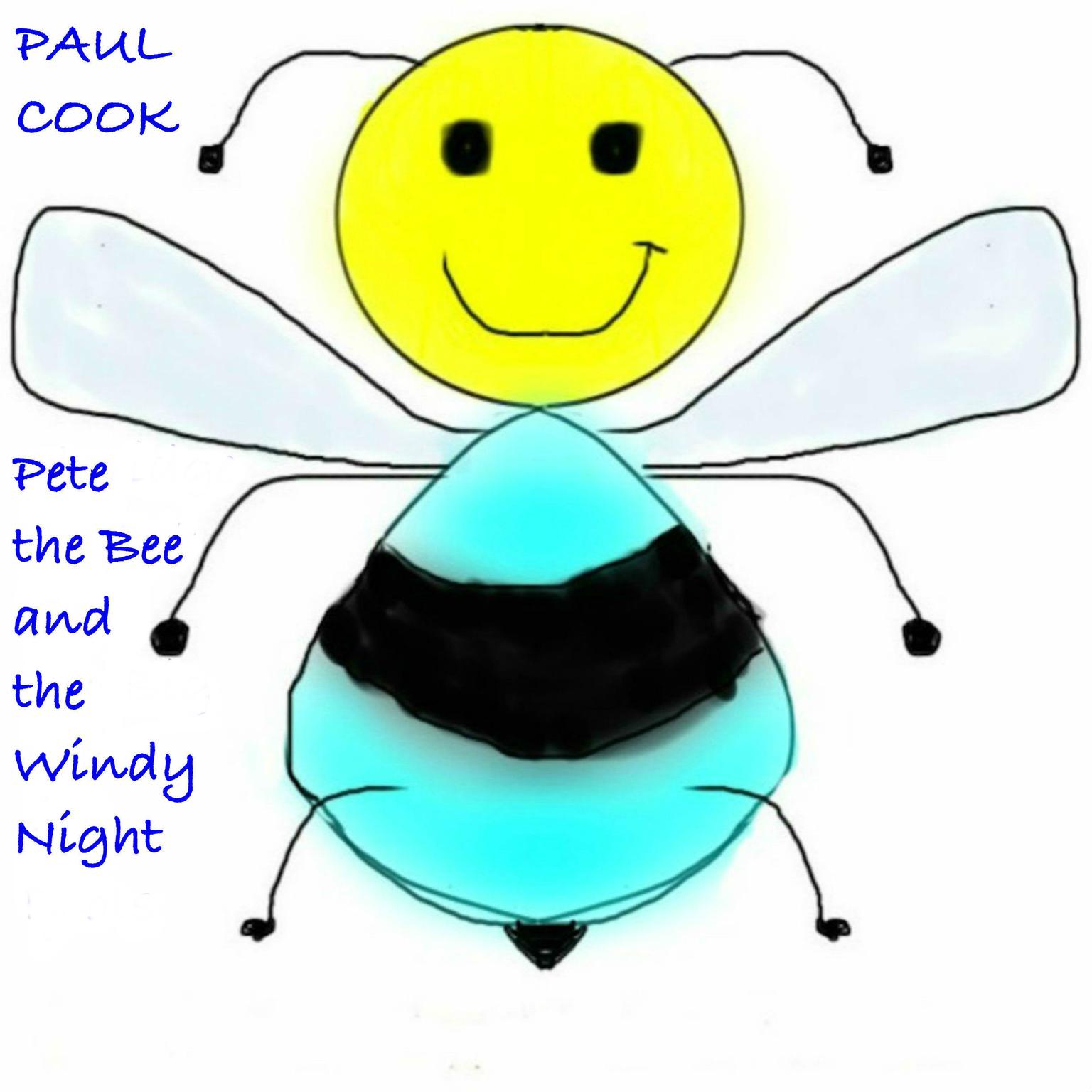Pete the Bee and the Windy Night Audiobook, by Paul Cook