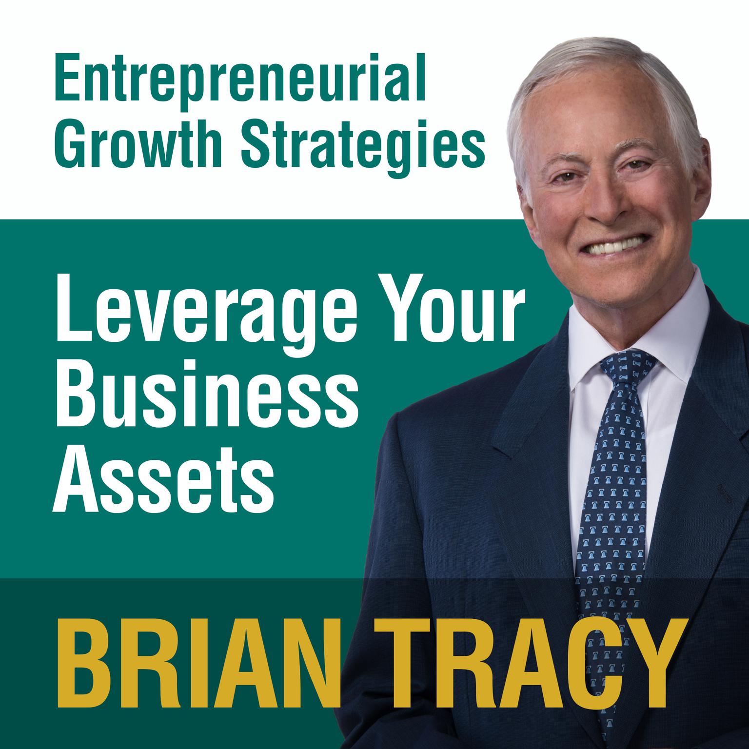 Leverage Your Business Assets: Entrepreneural Growth Strategies Audiobook