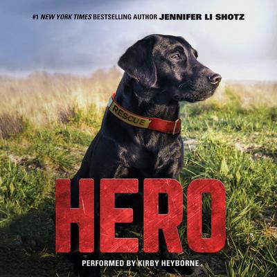 Hero Audiobook, by Jennifer Li Shotz
