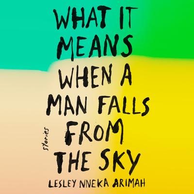 What It Means When a Man Falls from the Sky: Stories Audiobook, by 