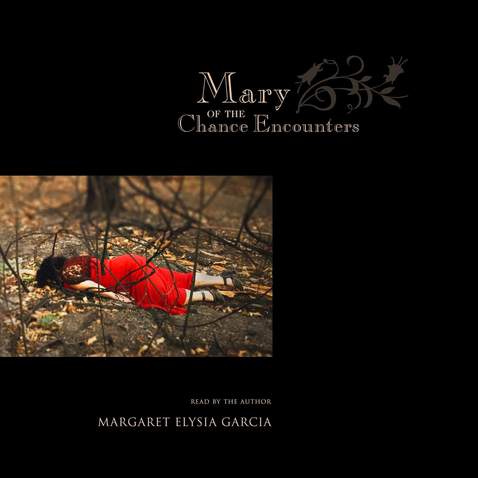 Mary of the Chance Encounters Audiobook, by Margaret Elysia Garcia