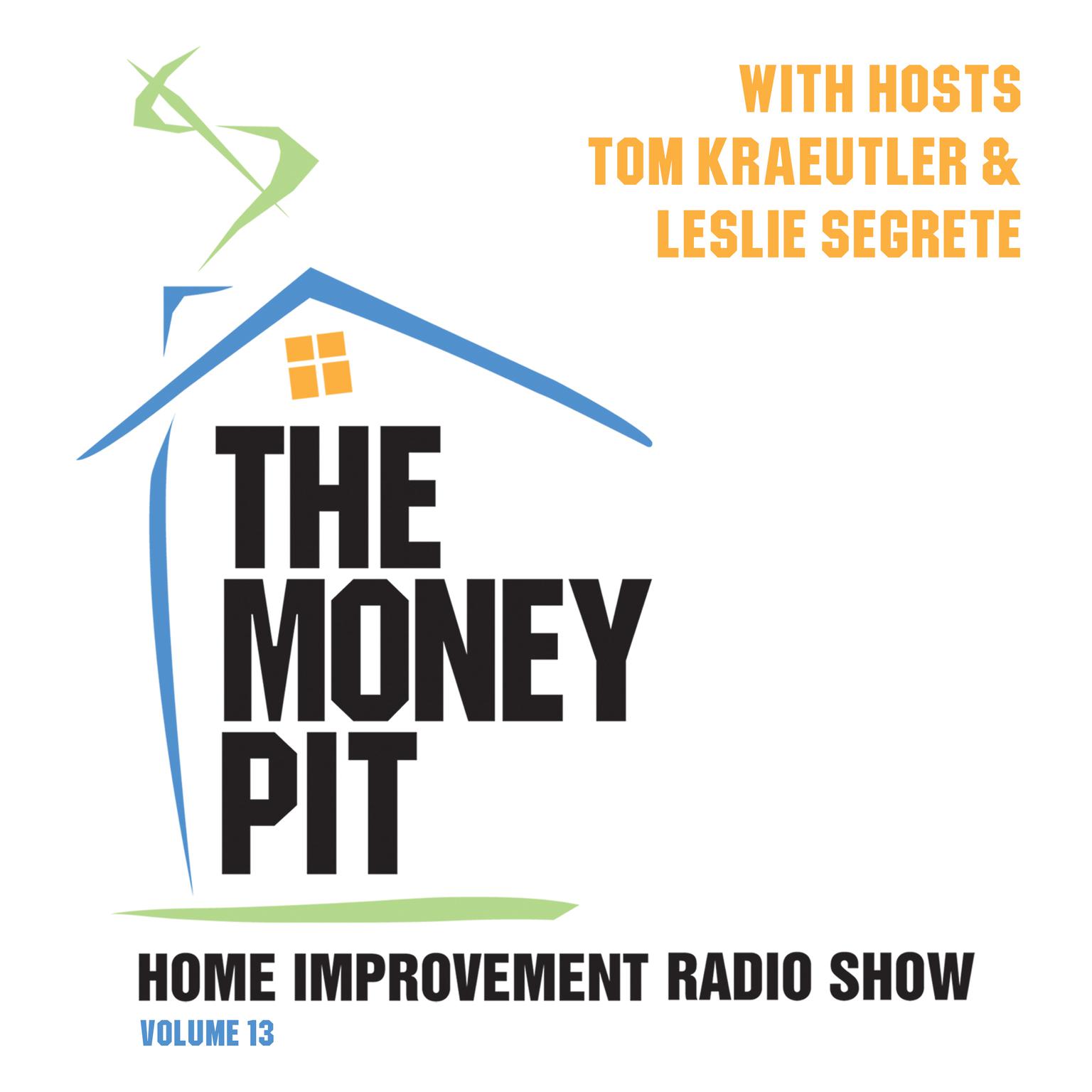 The Money Pit, Vol. 13 Audiobook, by Tom Kraeutler