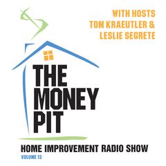 The Money Pit, Vol. 13 Audiobook, by Tom Kraeutler