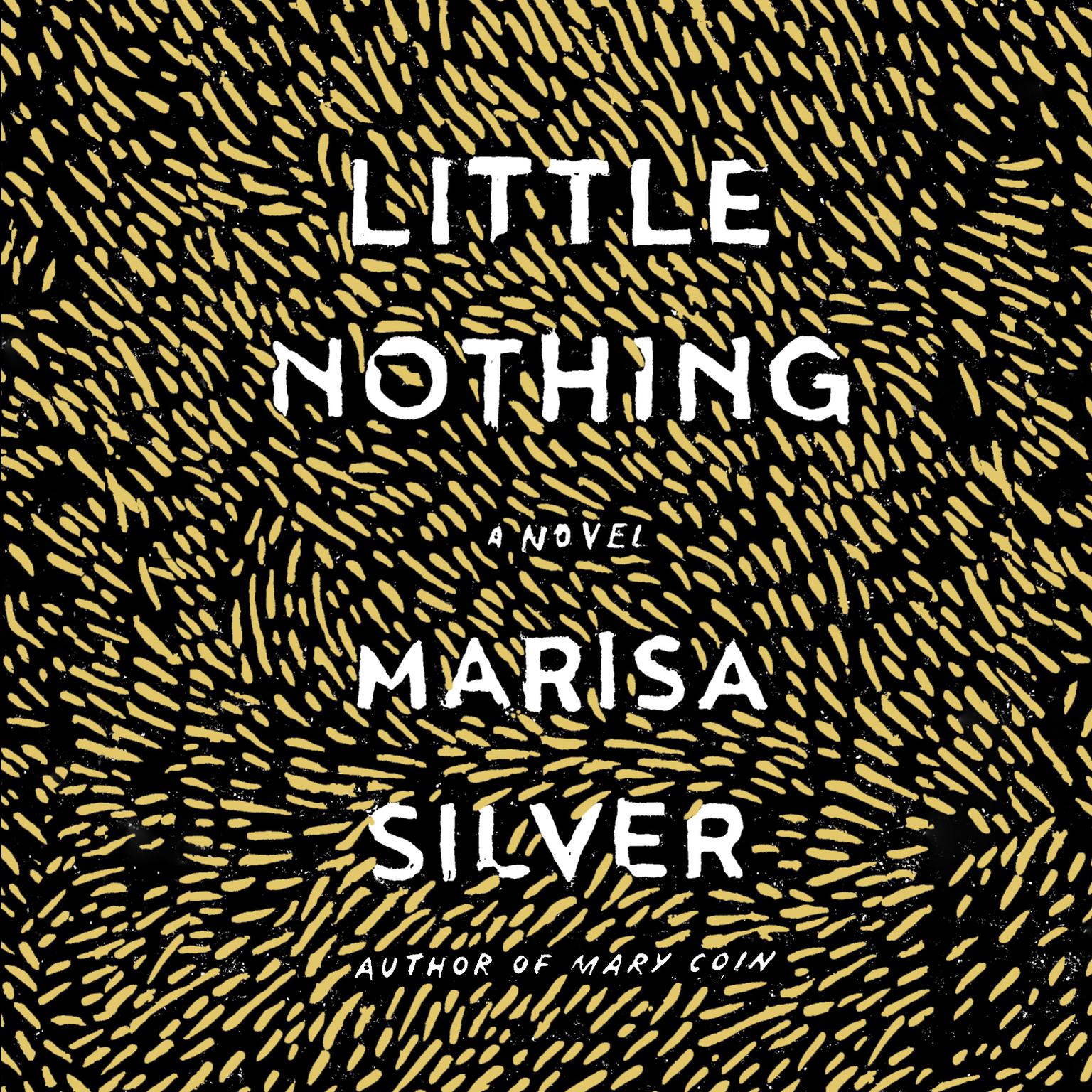 Little Nothing Audiobook, by Marisa Silver