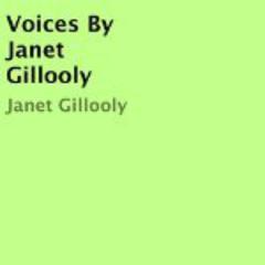 Voices Audiobook, by Janet Gillooly