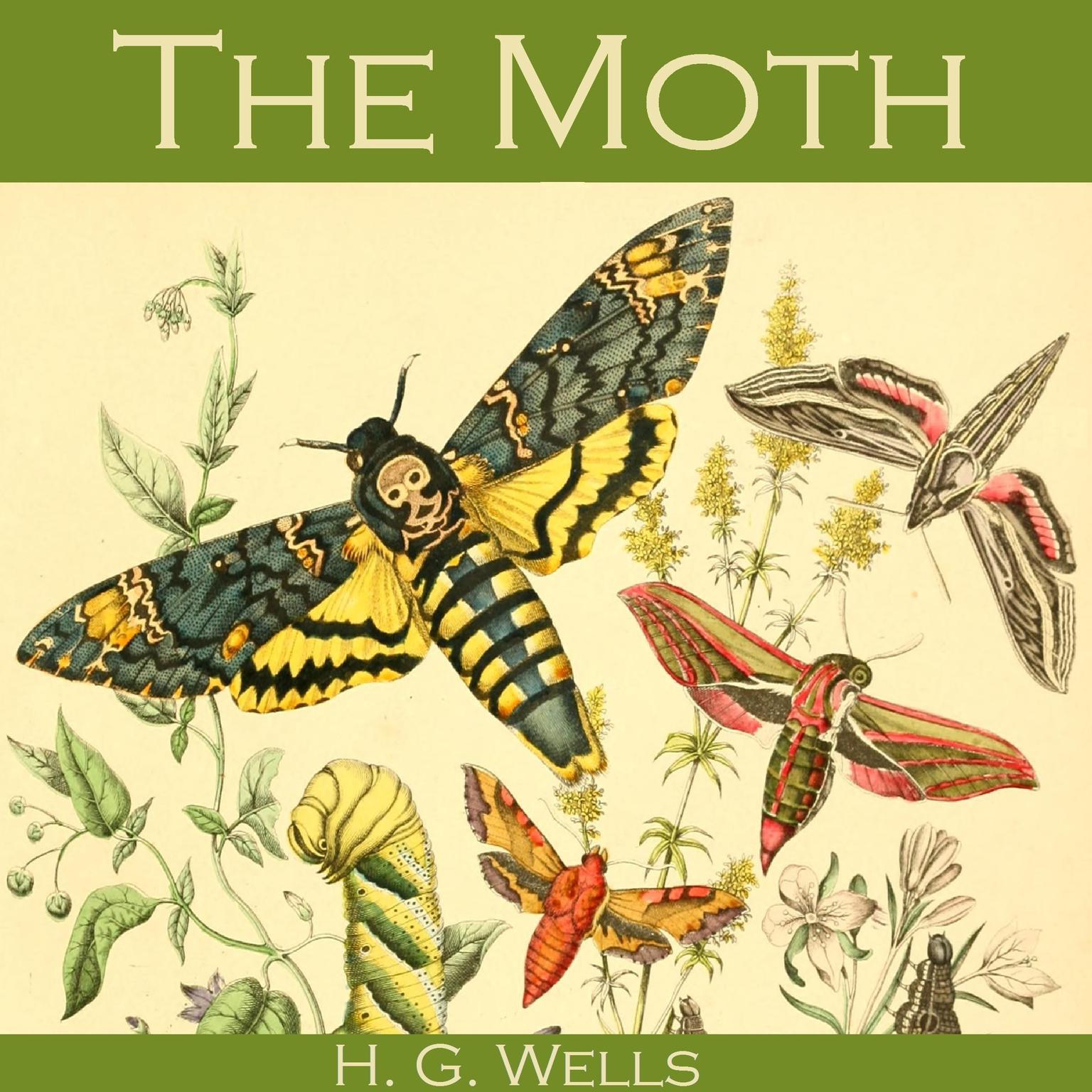 The Moth Audiobook, by H. G. Wells