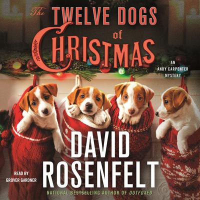 The Twelve Dogs of Christmas: An Andy Carpenter Mystery Audiobook, by 
