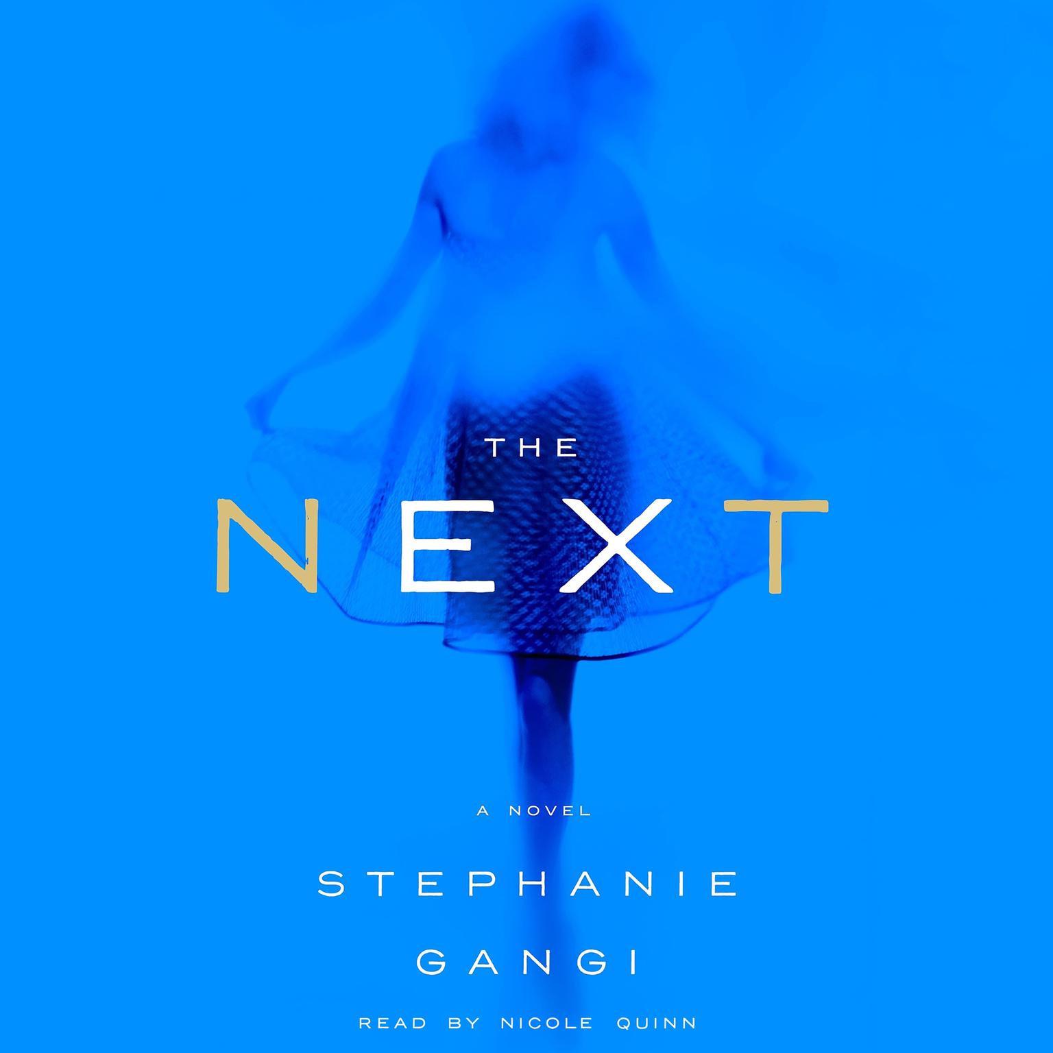 The Next: A Novel Audiobook, by Stephanie Gangi