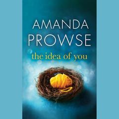 The Idea of You Audiobook, by Amanda Prowse