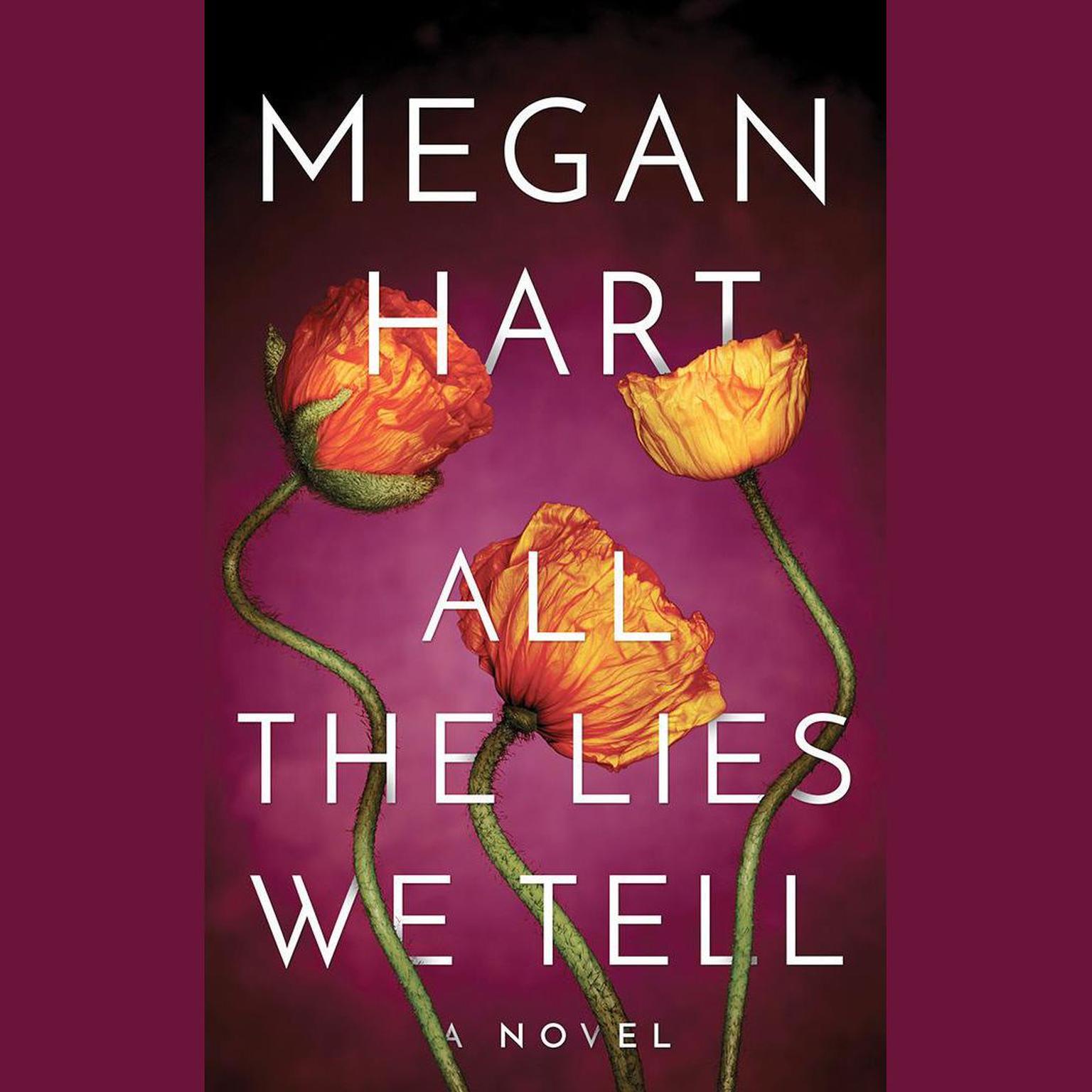 All the Lies We Tell Audiobook, by Megan Hart