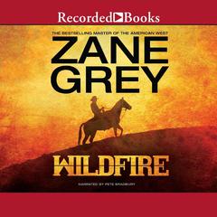 Wildfire Audiobook, by 