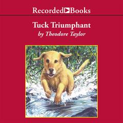 Tuck Triumphant Audiobook, by Theodore Taylor