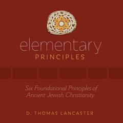 Elementary Principles Audiobook, by D. Thomas Lancaster
