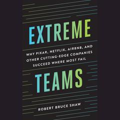Extreme Teams: Why Pixar, Netflix, AirBnB, and Other Cutting-Edge Companies Succeed Where Most Fail Audiobook, by Robert Bruce Shaw
