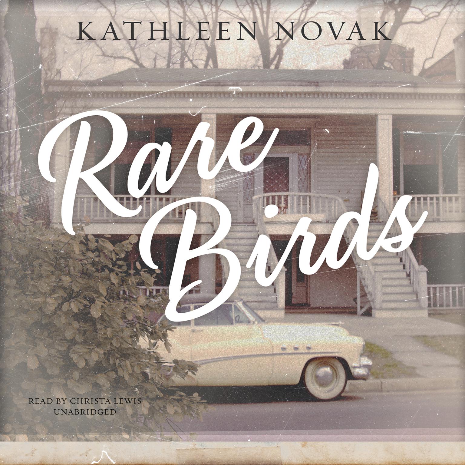 Rare Birds Audiobook, by Kathleen Novak
