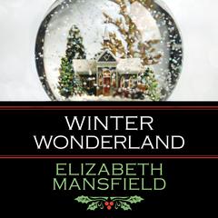 Winter Wonderland Audiobook, by Elizabeth Mansfield