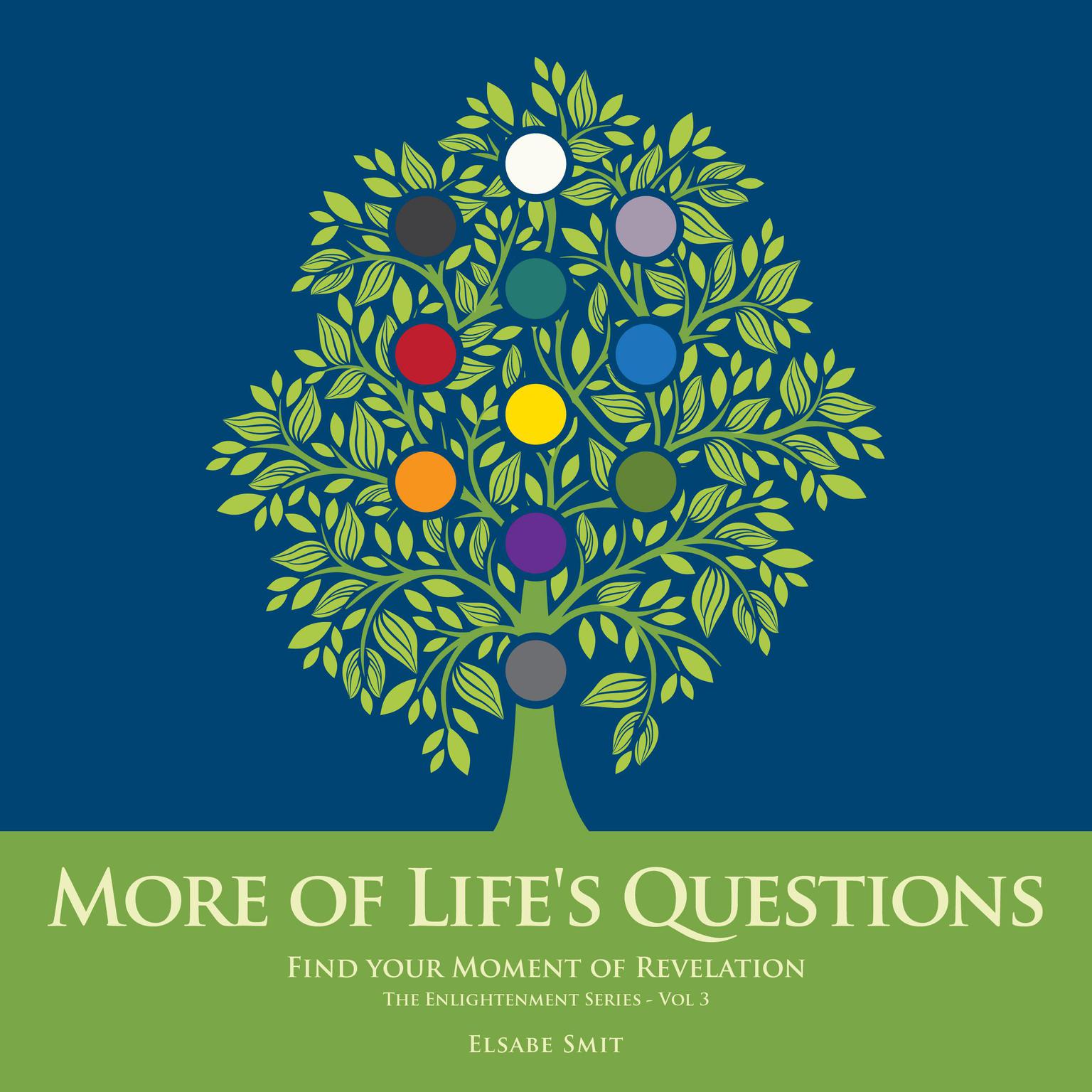 More of Lifes Questions: Find Your Moment of Revelation (The Enlightenment Series Vol 3) Audiobook, by Elsabe Smit