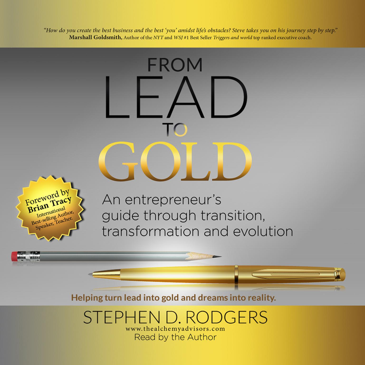 Lead to Gold: Transition to transformation Audiobook, by Stephen D. Rodgers