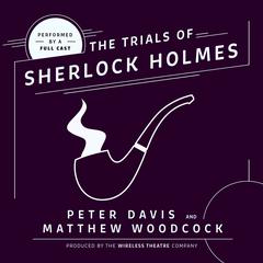 The Trial of Sherlock Holmes Audiobook, by Peter Davis