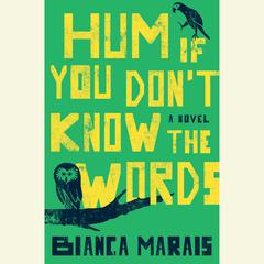Hum If You Dont Know the Words Audiobook, by Bianca Marais