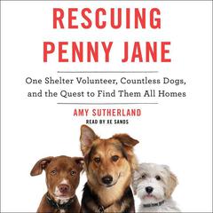 Rescuing Penny Jane: One Shelter Volunteer, Countless Dogs, and the Quest to Find Them All Homes Audiobook, by Amy Sutherland
