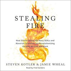 Stealing Fire: How Silicon Valley, the Navy SEALs, and Maverick Scientists Are Revolutionizing the Way We Live and Work Audiobook, by Steven Kotler