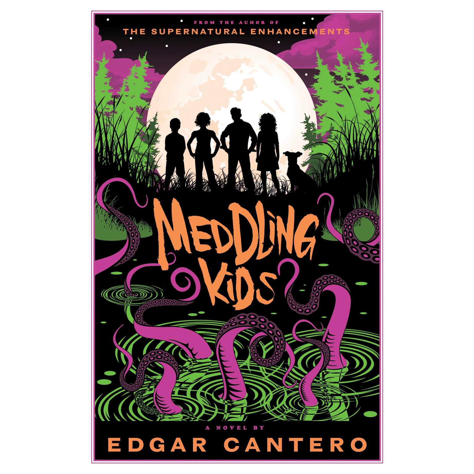 Meddling Kids: A Novel Audiobook, by Edgar Cantero