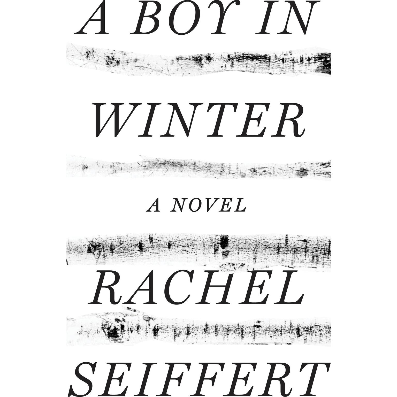 A Boy in Winter: A Novel Audiobook, by Rachel Seiffert
