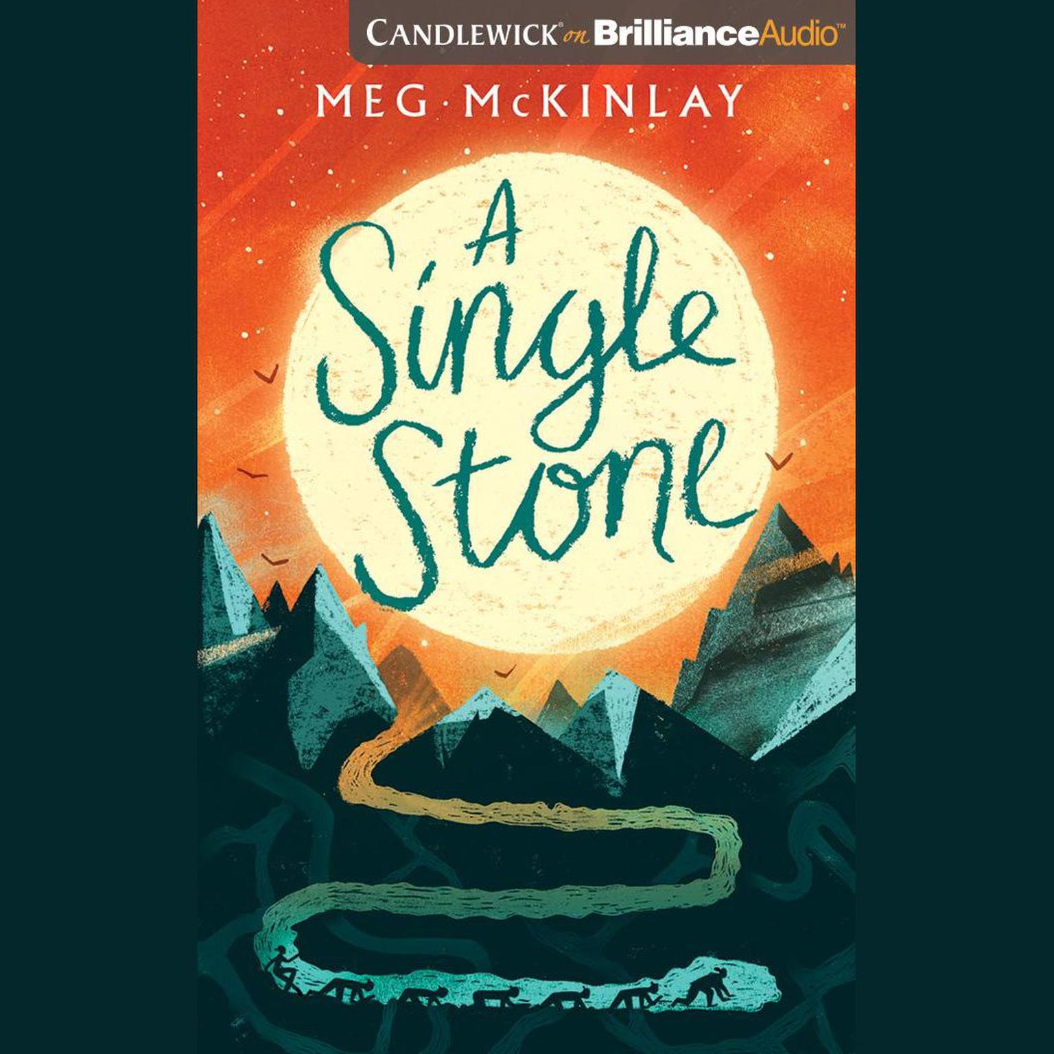 A Single Stone Audiobook, by Meg McKinlay