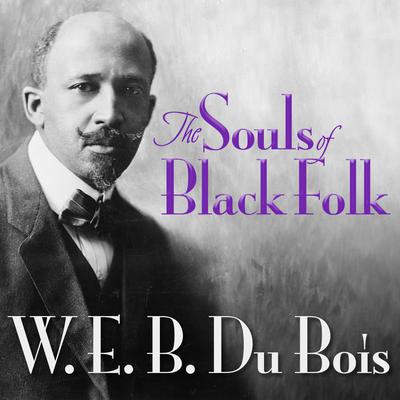 The Souls of Black Folk Audiobook, by 