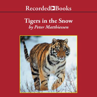 Tigers in the Snow Audiobook, by Peter Matthiessen