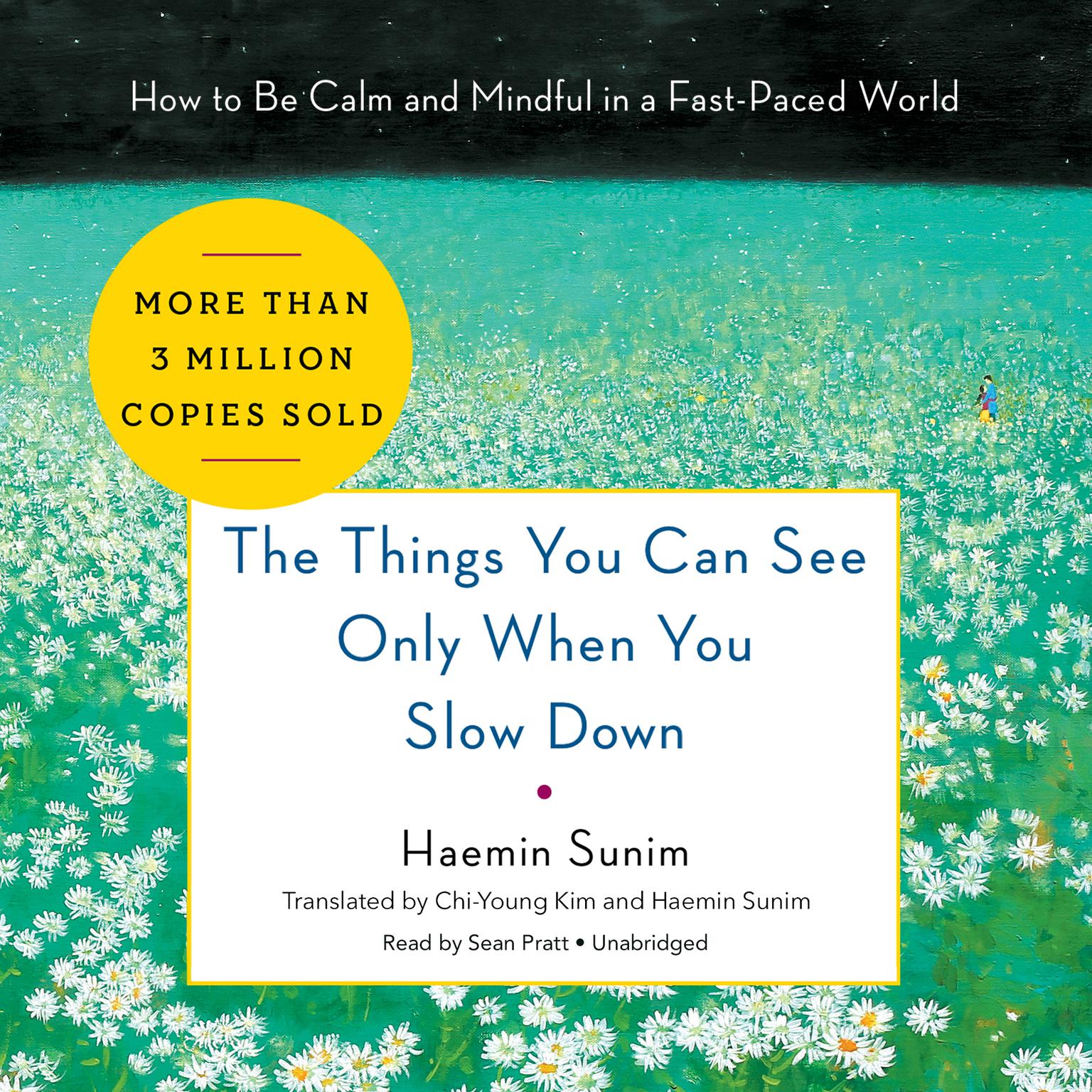 The Things You Can See Only When You Slow Down: How to Be Calm and Mindful in a Fast-Paced World Audiobook, by Haemin Sunim